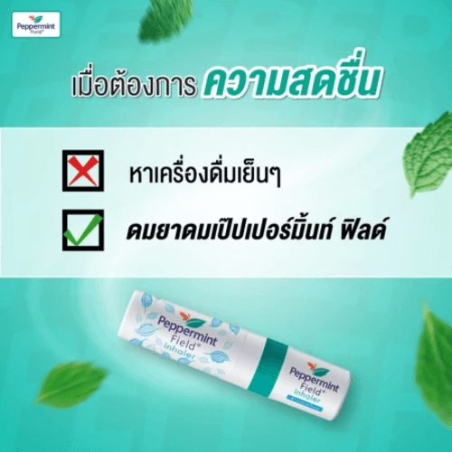 ยาดม เป๊ปเปอร์มิ้นท์ ฟิลด์ กลิ่นออริจินอล ขนาด 2 ซีซี จำนวน 24 ชิ้น_3